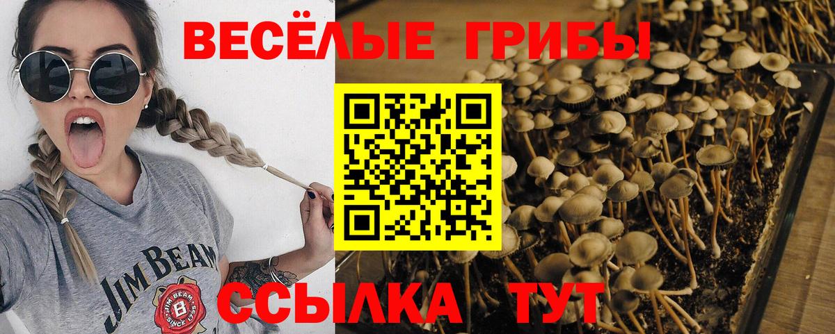Галлюциногенные грибы Cubensis Туймазы